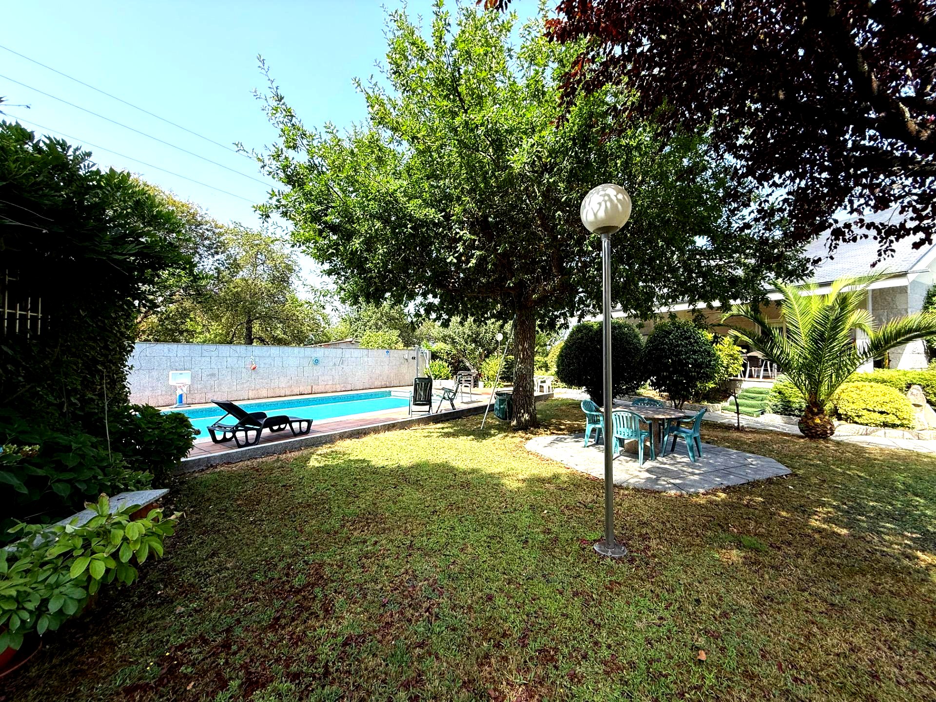 Piscina y jardín con palmera